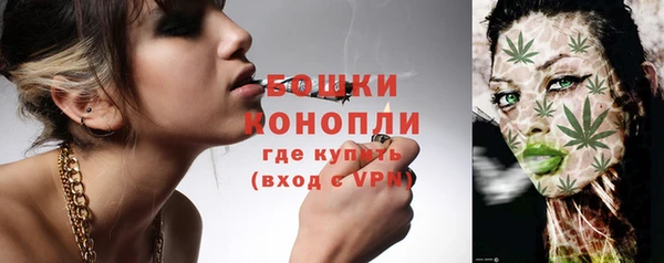 ПСИЛОЦИБИНОВЫЕ ГРИБЫ Нея