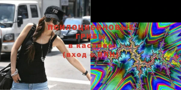 ПСИЛОЦИБИНОВЫЕ ГРИБЫ Нея