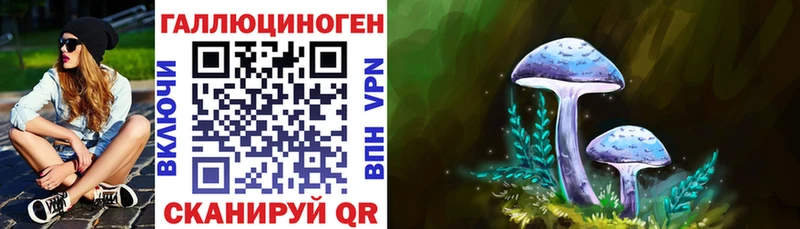 Галлюциногенные грибы прущие грибы  Купить  Ряжск 
